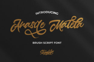 Anasite Malela: Bold Retro Script for Digital Campaigns