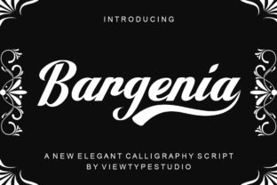 Bargenia: A Script Font for Creative Projects