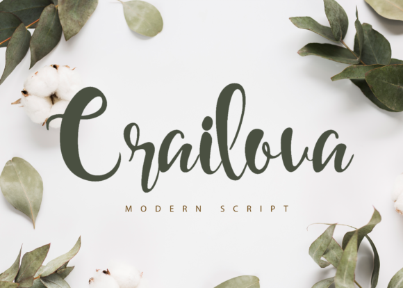 Crailova: A Bouncy Script Font for Creative Projects