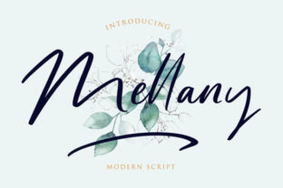 Mellany Font Review