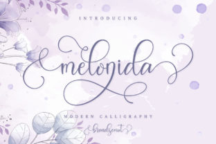 Melonida Font for Business Branding
