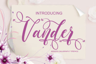 Vander Font for Creative Campaigns